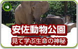 安佐動物公園