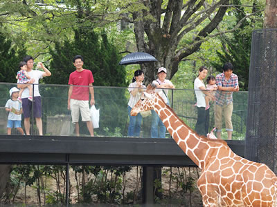 公園 安佐 動物 動物広場｜浦安市公式サイト